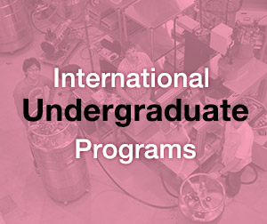 International Undergraduate Programs in English