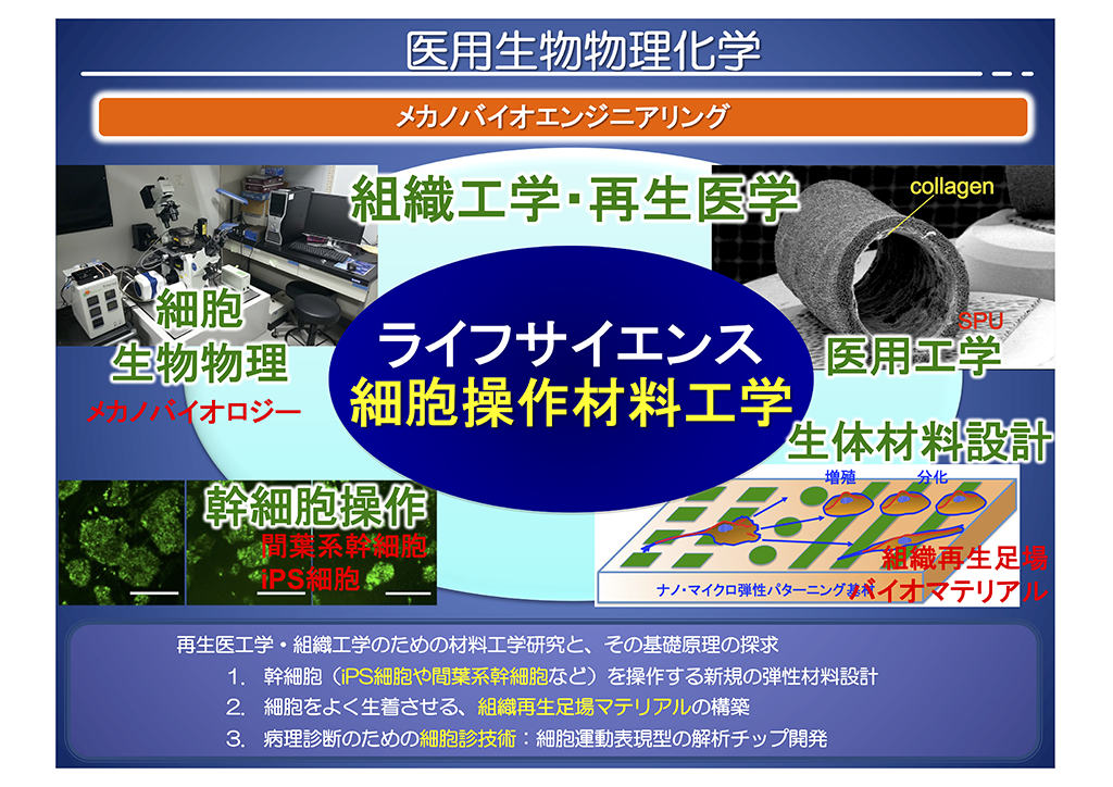 生物物理工学 分子細胞生物学 第8版 | Lodish,Harvey, Berk,Arnold, Kaiser