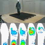 ラットコンベア上の歩行実験と歩行中の足底圧分布の変化