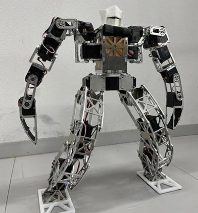 ヒューマノイドプロジェクト